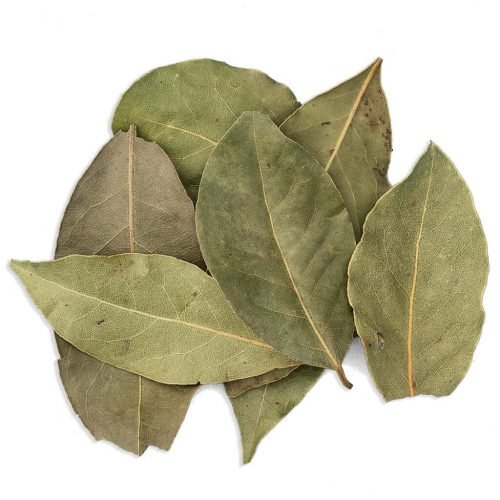 Laurel leaves For Bulk and Wholesales