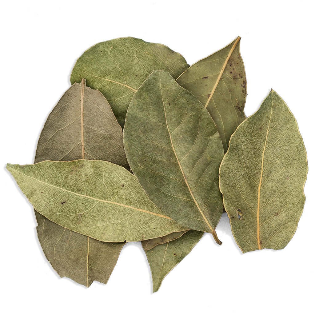 Laurel leaves For Bulk and Wholesales