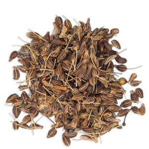 Anise Seeds of Egyptian origin Selling In bulk