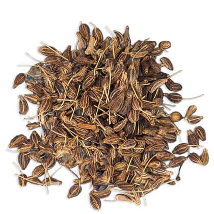 Anise Seeds of Egyptian origin Selling In bulk