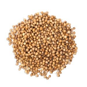 Egyptian whole Coriander Seeds Selling In bulk