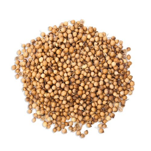 Egyptian whole Coriander Seeds Selling In bulk