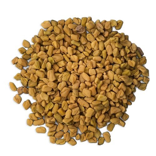 Egyptian Fenugreek Seeds Selling In bulk