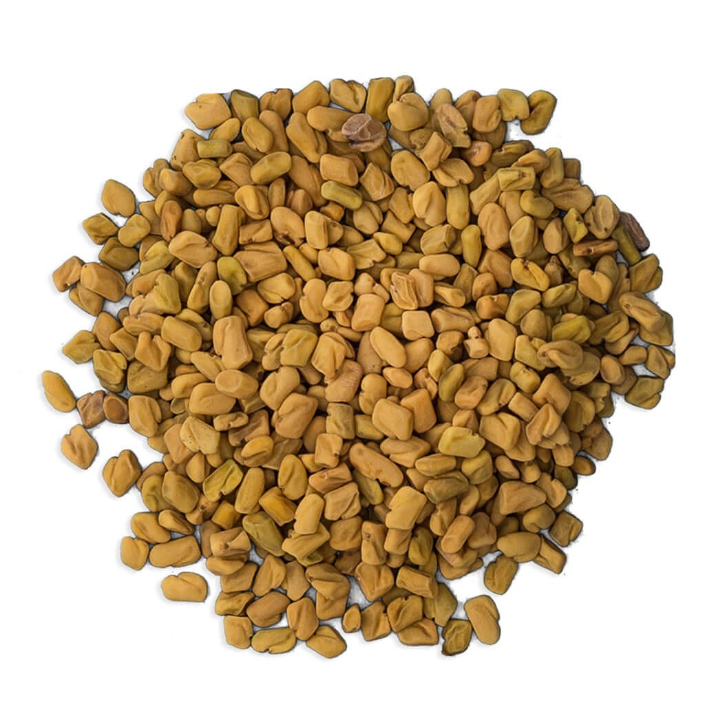 Egyptian Fenugreek Seeds Selling In bulk