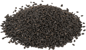 Basil seeds of Egyptian Selling In bulk
