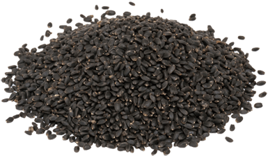 Basil seeds of Egyptian Selling In bulk